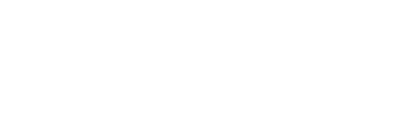 Birdsong Hearing Logo